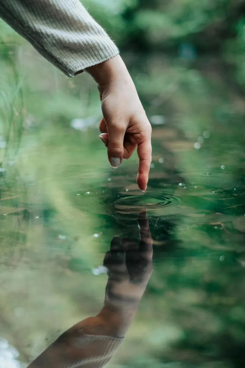 Imagen del artículo: Beneficios del contacto con la naturaleza para tu salud